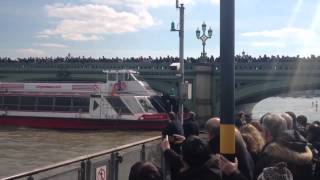 River thames boat crash clipper [upl. by Brenna]