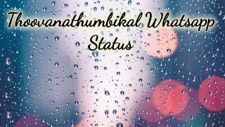 Thoovanathumbikal Whatsapp Status Rain  Johnson Master  Piano Cover Rajesh V  Mohanlal [upl. by Nonnad]