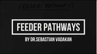 Feeder Pathways [upl. by Risay970]