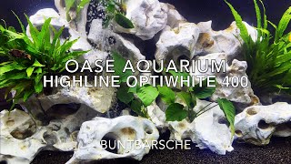 Süßwasser Aquarium Deko Beispiele  Buntbarsche im Oase 410 Liter Opti AQ Aquascaping  Hobby [upl. by Ihel]