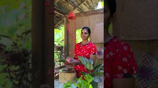 Banana blossom recipe 😋😋  පොලොස් වගේ කෙසෙල් මුව ඇඹුල 😋😋 [upl. by Anitniuq]