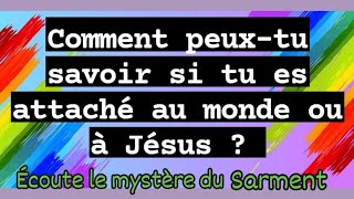 COMMENT PEUXTU SAVOIR SI TU ES ATTACHÉ AU MONDE OU À JÉSUS  ÉCOUTE LE MYSTÈRE DU SARMENT [upl. by Claud]