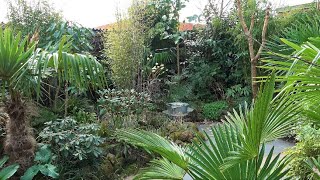 Early Spring Flowers amp Foliage in our Tropical Garden incl some plant names [upl. by Narruc]