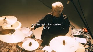 쏜애플THORNAPPLE 할시온 EP Animal Live Session [upl. by Yer700]