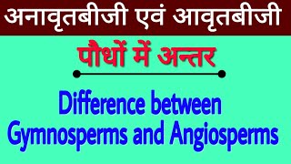 Difference between Gymnosperms and Angiosperms  अनावृतबीजी एवं आवृतबीजी पौधों में अन्तर  biology [upl. by Piks518]