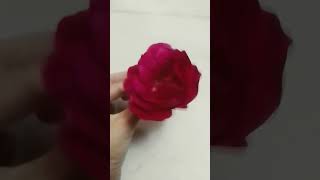 Lets make 🌹 book mark and Rose stickers ❤️ [upl. by Garrick]