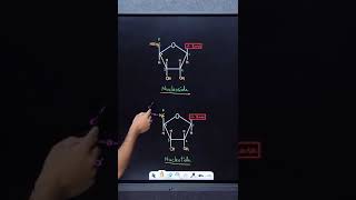 Structure of DNA amp RNA  Biomolecules  Class 12 Chemistry [upl. by Selegna]