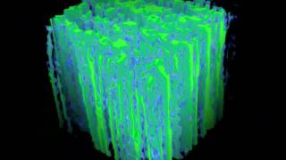 Density Field Model for Lignocellulose Mesostructure [upl. by Nae]