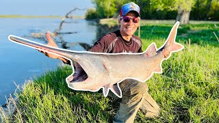 Epic Paddlefish Snagging Adventure in LEGENDARY North Dakota Catching MONSTER Fish after Fish [upl. by Briano]