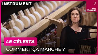 Le célesta comment ça marche  Par Catherine Cournot  Culture Prime [upl. by Aneehsak]