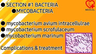 Mycobacterium avium scrofulaceum marinum  Mycobacteria  Microbiology [upl. by Jordans]