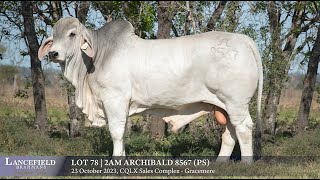 Lot 78  2AM ARCHIBALD 8567 PS [upl. by Andel]