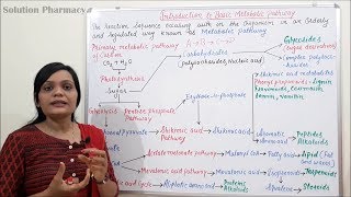 Class 01  Metabolic Pathway  Introduction to Basic Metabolic Pathway [upl. by Skell]