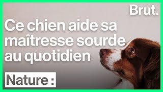 Interview avec Agathe sur laide que lui apporte son chien écouteur [upl. by Lehcin]