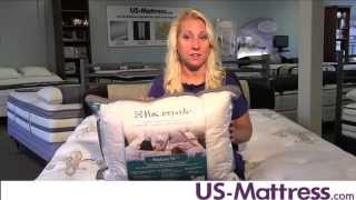 Sealy Posturepedic PostureFit Back Pillow by DOWNLITE [upl. by Mariya]