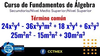 Factor ComúnFundamentos de Álgebra Curso Factorización Parte 8 [upl. by Madancy]