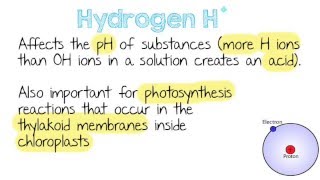 Inorganic Ions  Quick A Level Biology Revision [upl. by Ecaidnac]