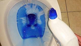 Testing Lysol® Toilet Bowl Cleaner [upl. by Sutphin]