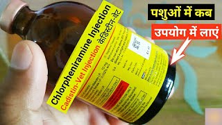 Chlorpheniramine Maleate Injection IP 10mg  Cadistin Vet Injection CPM Use In Hindi  केडिस्टीन वेट [upl. by Attenweiler]