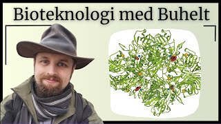 Bioteknologi  Proteiner og enzymer [upl. by Brandtr]