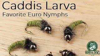 Caddis Larva Euro Nymph  Favorite Euro Nymphs  Fly Tying [upl. by Conah]