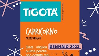 Nuovo volantino Tigotà Gennaio 2023 [upl. by Iorgo]