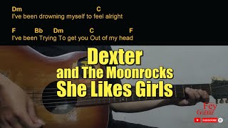 Dexter and The Moonrocks  She Likes Girls Guitar Chords cover [upl. by Enilarak]