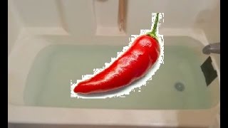 Dont use cayenne pepper in the bath if you dont want to [upl. by Yromas274]