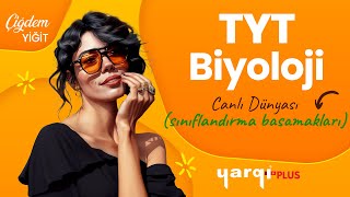 38  CANLI DÜNYASI  SINIFLANDIRMA BASAMAKLARI  ÇİĞDEM YİĞİT [upl. by Ennasor]