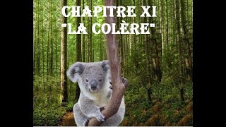 Chapitre XI quotLa Colèrequot Histoire Fantastique pour Petits et Grands Livre audio [upl. by Giovanna]