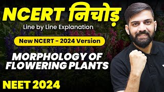 NCERT निचोड़ Morphology of Flowering Plants  NCERT Biology Line by Line Explanation for NEET 2024 [upl. by Alguire]