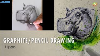 GraphitePencil Drawing  Hippo [upl. by Yensehc117]