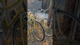 Vintage Mixte Bikes bought On Facebook Marketplace roadbike vintage cycling facebookmarketplace [upl. by Merissa]