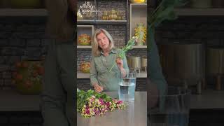 Lisianthus care tips by Gill how to cut Lisianthus in the right way lisianthus care flowers [upl. by Janos]