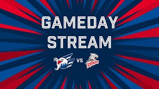 GamedayStream Adler Mannheim VS Nürnberg Ice Tigers [upl. by Catharine]