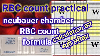 RBC count by neubauer chamber calculation formula [upl. by Urbannai]