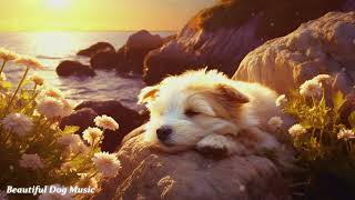 MUSIC TO RELAX DOGS  TRY IT ON YOUR DOG Calm Down sleep Music for Dog 🐶 [upl. by Ellehcin809]