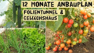 Anbauplan für Folientunnel und Gewächshäuser  Jeden Monat ernten [upl. by Wilhelmine]