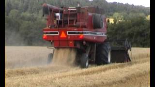 INTERNATIONAL 1460 axial flow combine 2004 [upl. by Annawak66]