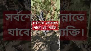 islamicstatus new video Sorboses je bekti jannate jabe।সর্বশেষ যে জান্নাতে যাবেন। waz [upl. by Nahtanoy]