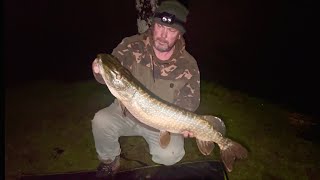 Pike fishing lake Windermere [upl. by Orten]