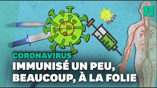 Immunité innée immunité acquise immunité humoralenos défenses face au Covid [upl. by Yremogtnom]