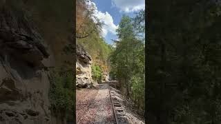 West Virginia Rail Explorers  Clay West Virginia  beautiful relaxing nature ride [upl. by Alpert679]