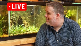 10 Gallon Tanks Amazing  Here are my reasons Live Stream [upl. by Ylebmik185]