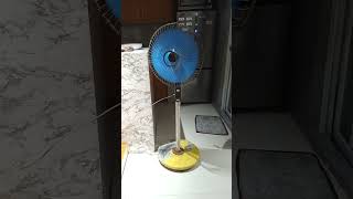 Archived amp Cancelled Vintage quotTatungStandardquot NSA16 16quot Stand Fan [upl. by Elocin]