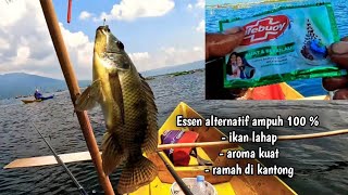 campuran lumut ini terbukti ampuh untuk mancing ikan nila liar [upl. by Oidivo144]