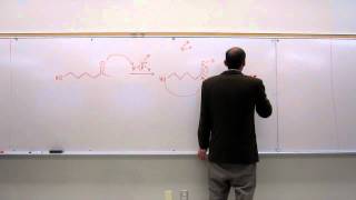 Organic Mechanism  Hemiacetal Formation  Stable Hemiacetals [upl. by Marfe400]