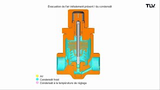 Fonctionnement en animation  Purgeur de vapeur à régulation de température LEX3N TZ [upl. by Dustie]