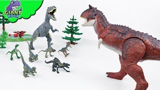 Dinosaur fight  Carnotaurus jurassic world toys for kids trex battle for kids [upl. by Dnivra]