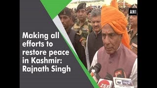 Making all efforts to restore peace in Kashmir Rajnath Singh  Rajasthan News [upl. by Guise]